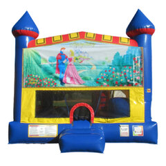 Sleeping Beauty 5-in-1 bounce house rental in Hartford CT
