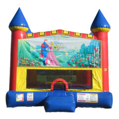 Sleeping Beauty Castle bounce house rental in Hartford CT
